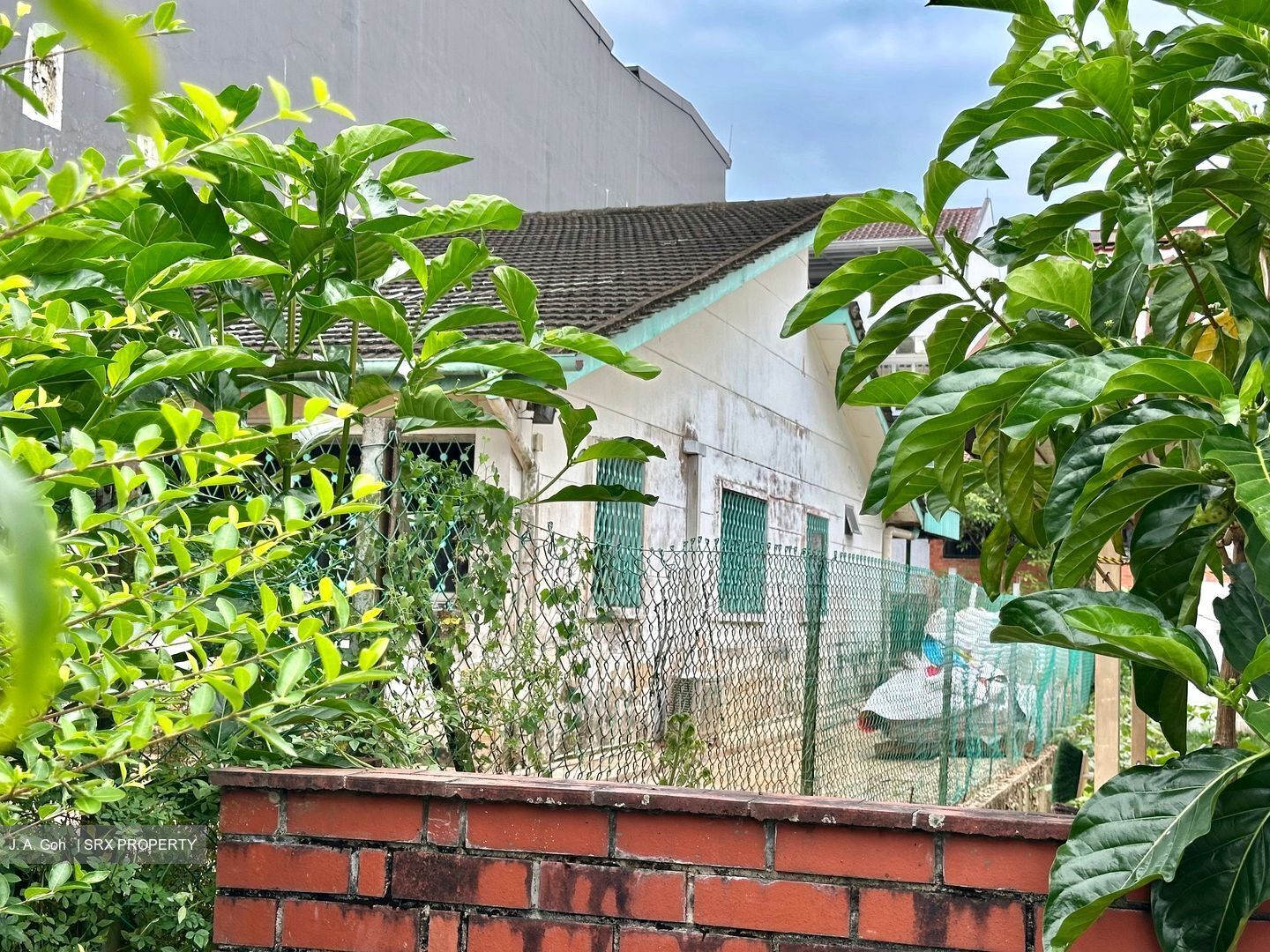 Sembawang Hills Estate (D20), Detached #516913461